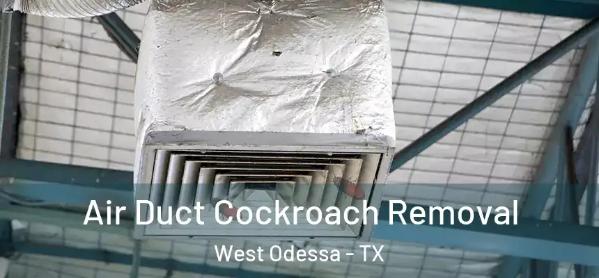 Air Duct Cockroach Removal West Odessa - TX
