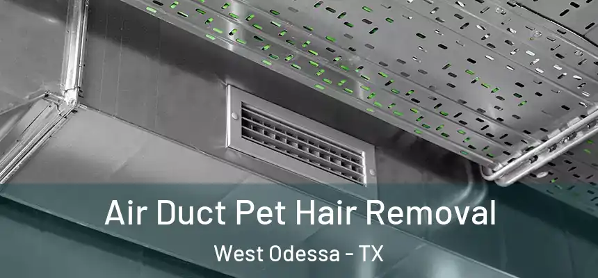 Air Duct Pet Hair Removal West Odessa - TX
