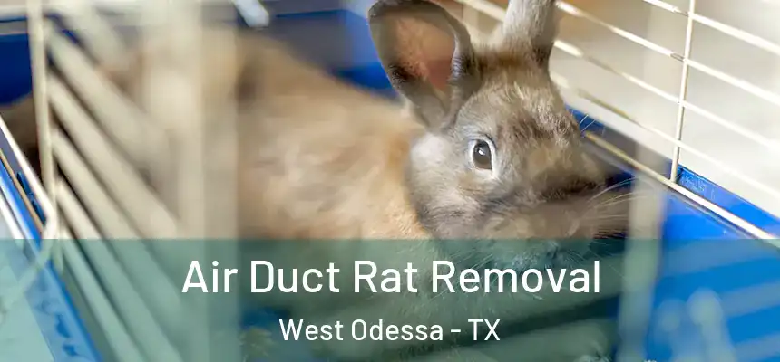 Air Duct Rat Removal West Odessa - TX