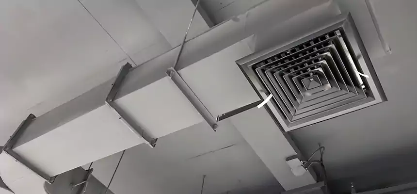 Restorative Allergy Relief Vent Cleaning – Coil, Blower & Housing Detail in West Odessa