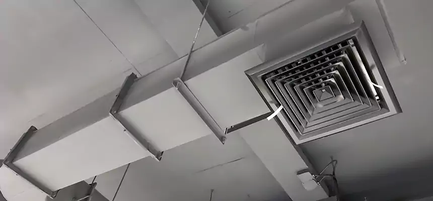 Our Pest Removal From Ducts Services in West Odessa, TX