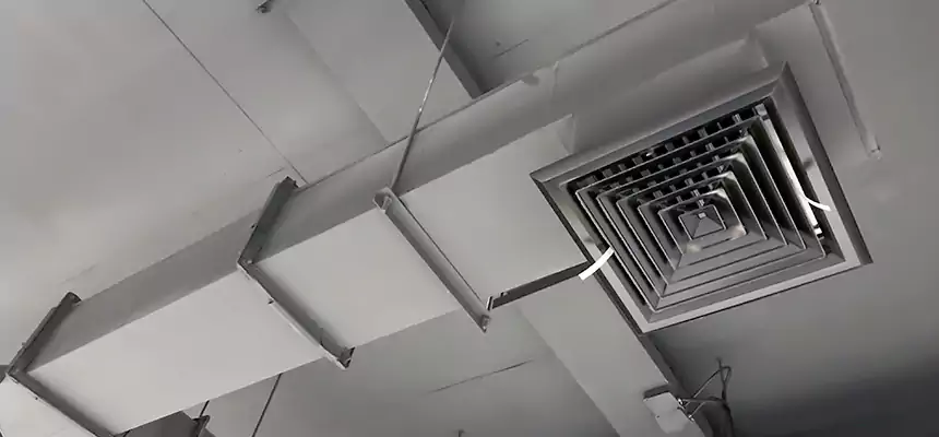 Our Rodent Droppings In Vents Services in West Odessa, TX