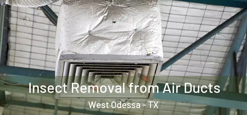 Insect Removal from Air Ducts West Odessa - TX