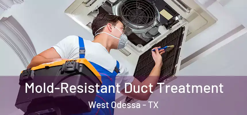 Mold-Resistant Duct Treatment West Odessa - TX