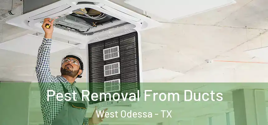 Pest Removal From Ducts West Odessa - TX