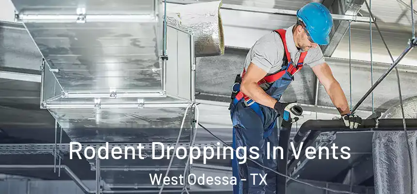  Rodent Droppings In Vents West Odessa - TX