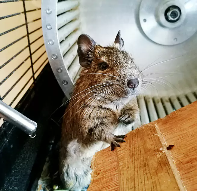 Why Homeowners & Businesses Trust Us West Odessa, TX